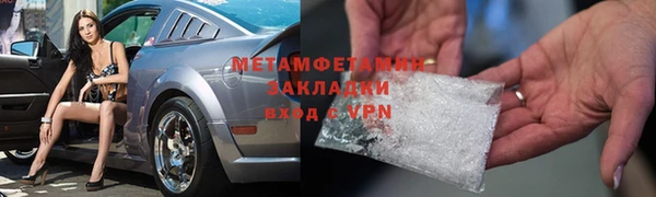 прущие грибы Надым