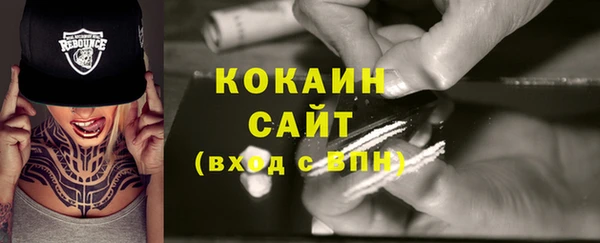 прущие грибы Надым