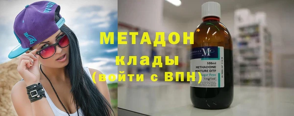 прущие грибы Надым