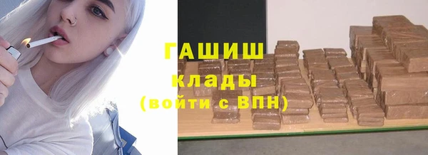 прущие грибы Надым