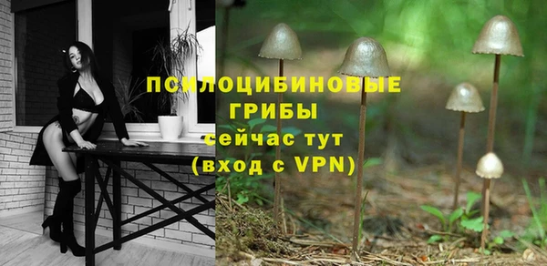 прущие грибы Надым