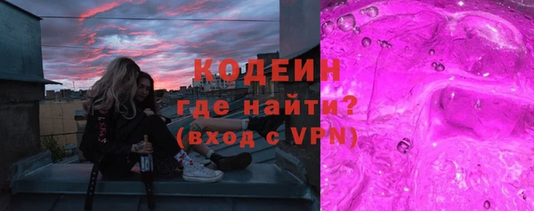 прущие грибы Надым
