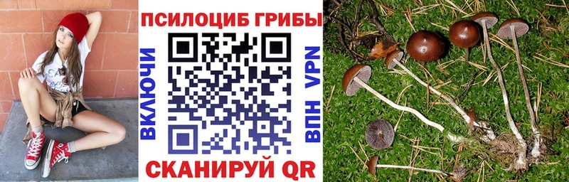 маркетплейс клад  Тимашёвск  Псилоцибиновые грибы ЛСД  купить  сайты 